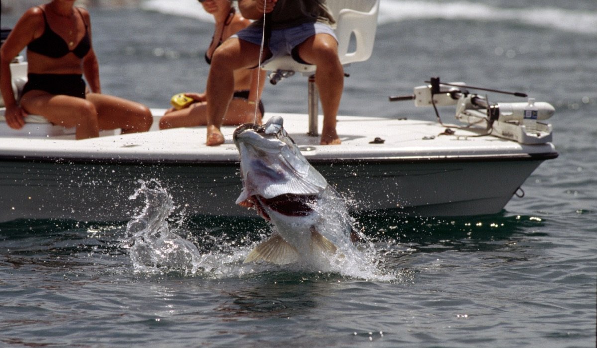 Deep sea fishing off the Cuban coast